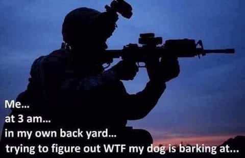 Backyard - At 0300 checking on barking dog