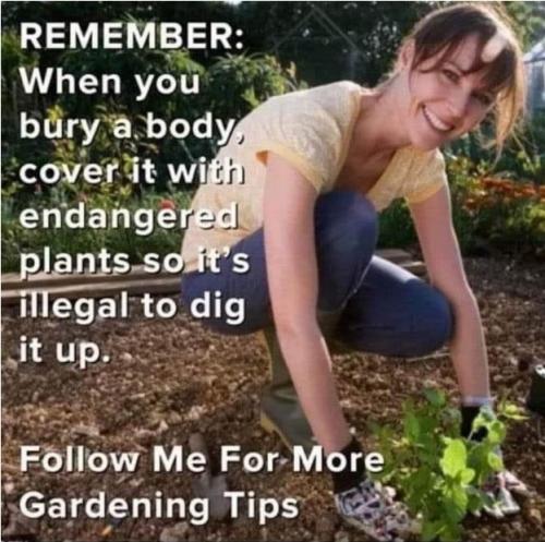 Gardening Tips