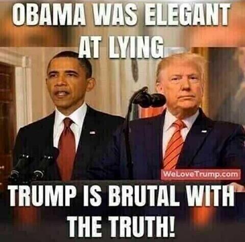 USA elegant lying