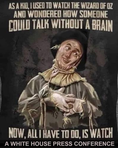 About Those IDIOTS in the White House