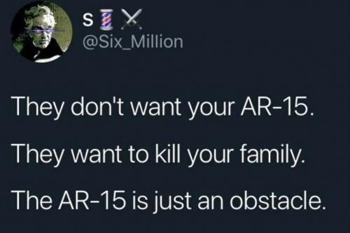 you+AR15 obstacle