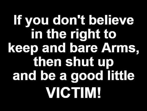 USA bear arms