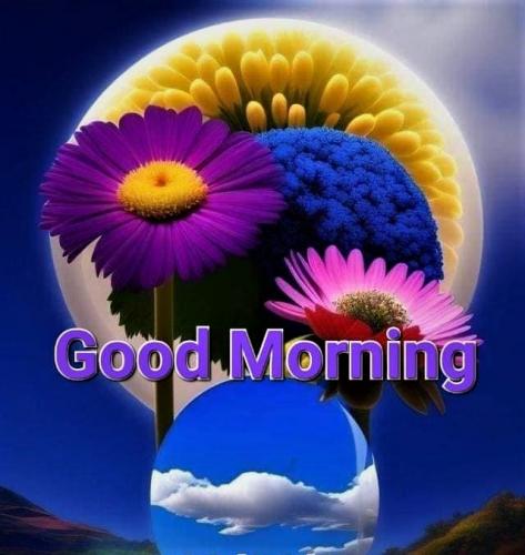 062223 - GM flowers-Moon
