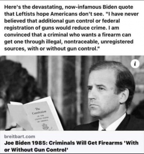 joe biden guns