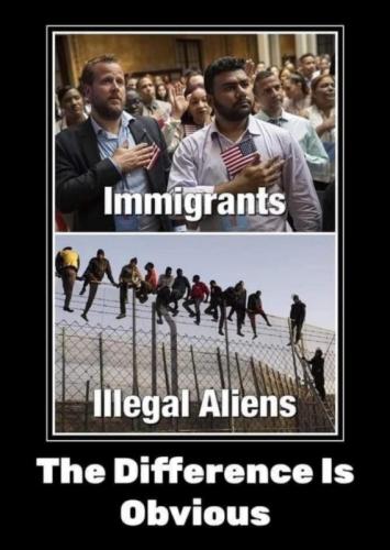 RO Immigrants
