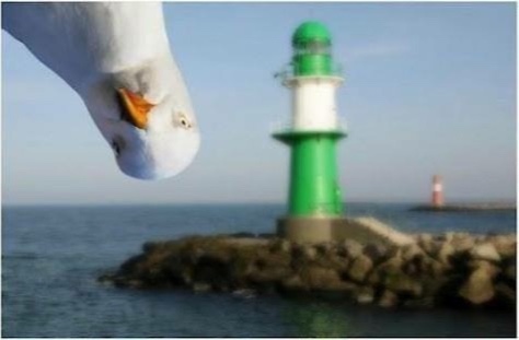 C0E595C2-3574-4B2F-83E1-3FB4ED04E5F7_4_5005_c