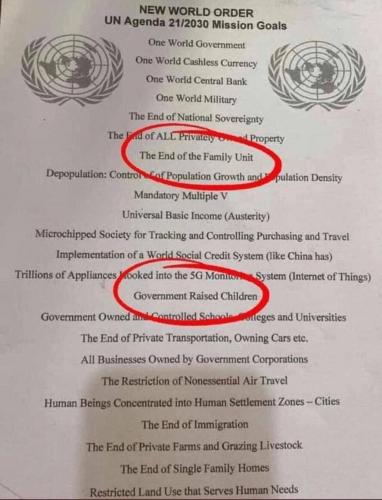 NWO UN AGENDA   TS