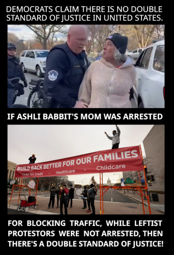 ASHLI BABBIT'S MOM ARRESTED