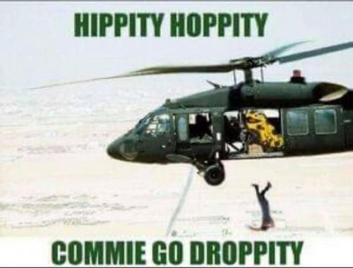 Hippity Hoppity