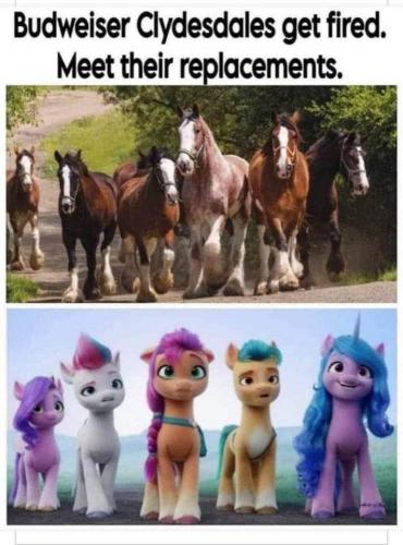 replacement horses