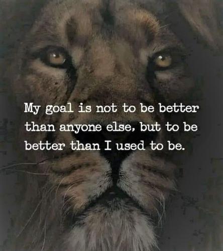 060523 - My goal