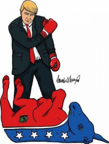M Dem knockout