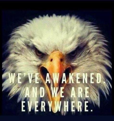 We've Awaken