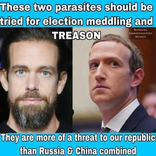 USA two parasites
