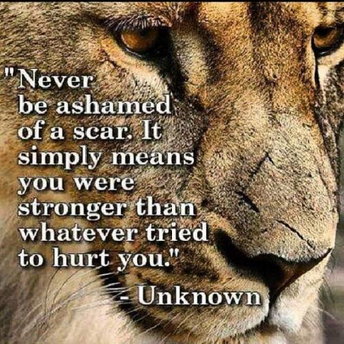 Scar - Stronger than whatever tried to hurt you