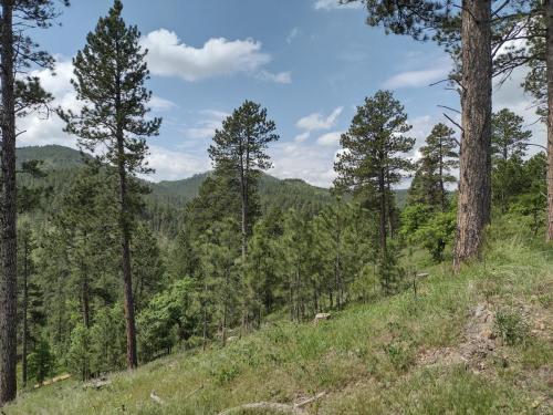 IMG_20230604_105853817_HDR