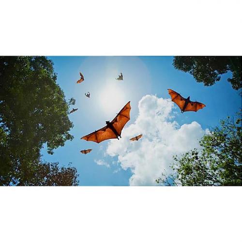 D3D1B5D2-3C4B-4076-87DE-944B8FA3F771