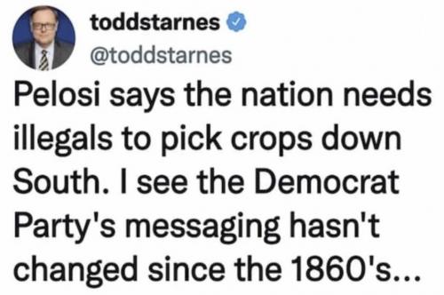 dem racist 01