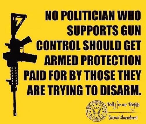 2nd Amendment - Politicians should not be given armed protection