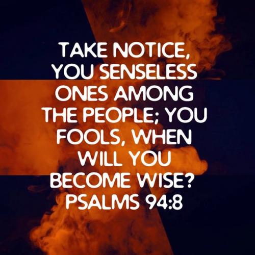 2886970-1677705004977