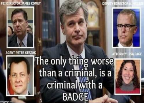 USA criminal badge