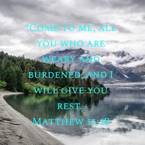 2886970-1675606479579