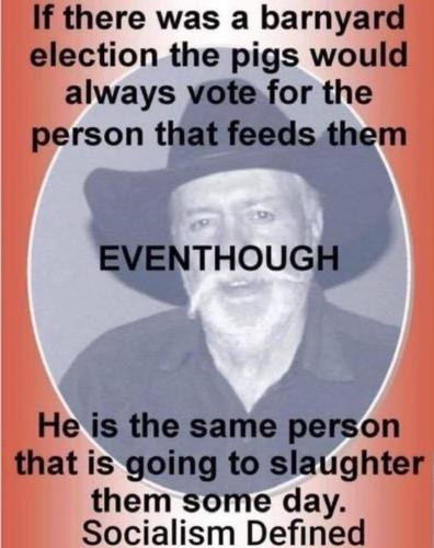 884faff7-e3e2-41e5-bd4b-90eaf2cd721e