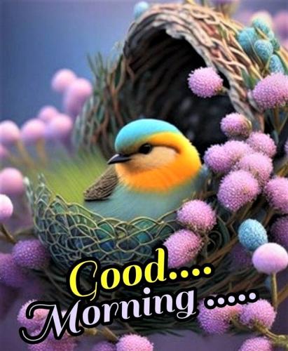 061023 - GM Birdie