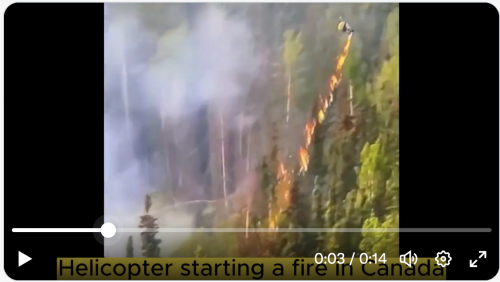 Screen Shot 2023-06-08 at 12.33.26 PM