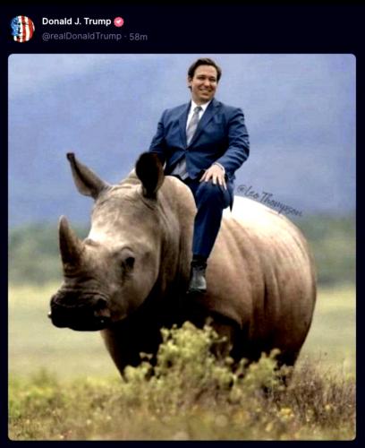 Rino Rider ~DeSantis~
