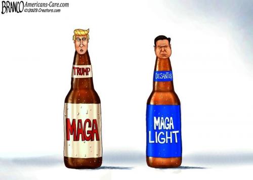 Maga and Maga light