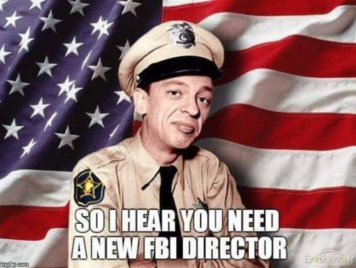 M new director