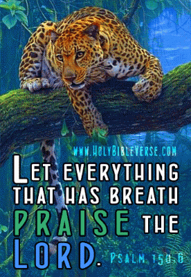 Psalm-150-6-praise-the-lord-jesus-god-holy-bible-verse
