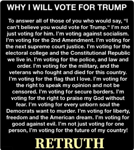WHY I WILL VOTE FOR TRUMP   TS