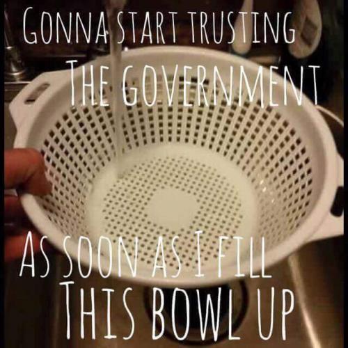 Trust The Gov't