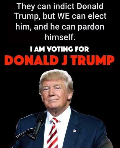 USA voting for