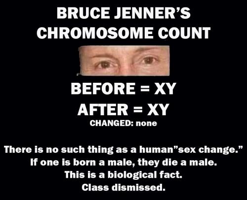 RO Chromosome count
