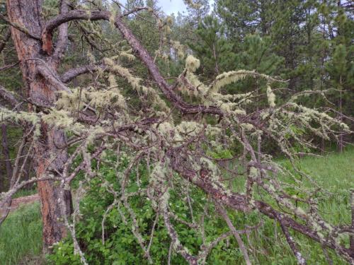 IMG_20230604_055534235