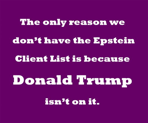 RO Epstein client list
