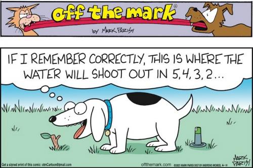 Screenshot 2023-06-11 at 06-36-06 Off the Mark by Mark Parisi for June 11 2023 GoComics