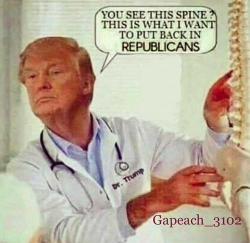 USA spine