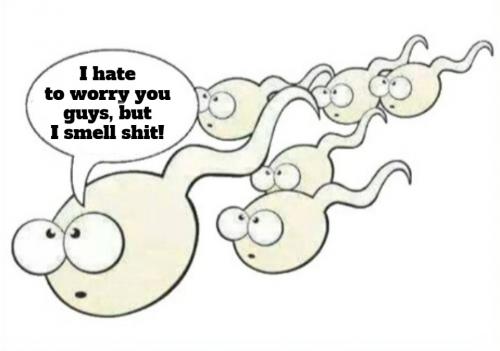 Gay sperm I smell shit