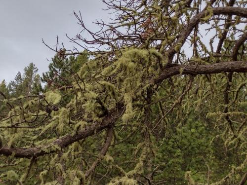 IMG_20230604_055548381_HDR