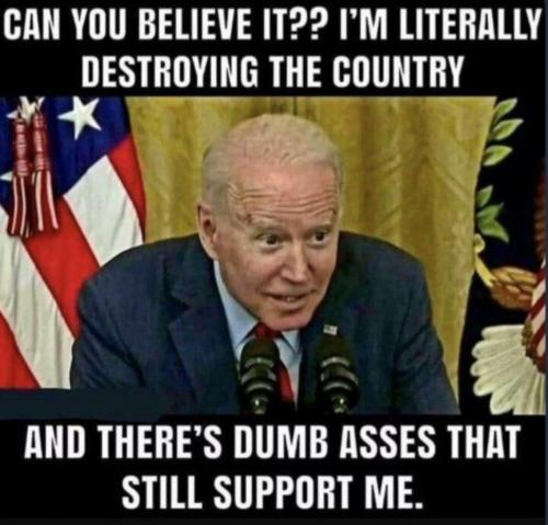 Screenshot_20230603-094623_Gallery