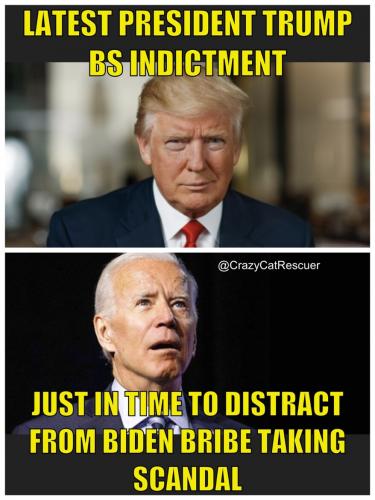BS INDICTMENT   TS
