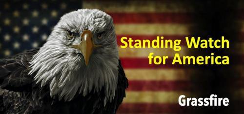 GrassFire -- Eagle, USA Flag Logo