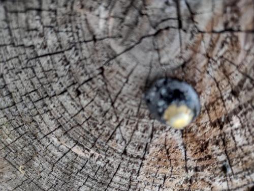 IMG_20230612_111955712_HDR