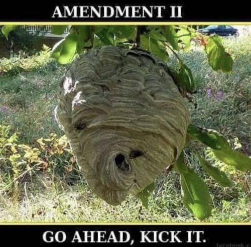 Amendment-II