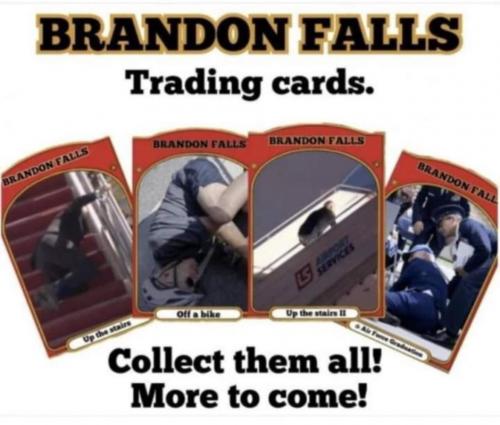 M Brandon Falls