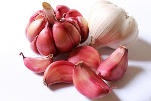 garlic-618400__340